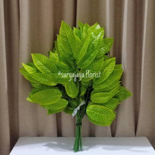 

Daun Mangga Hijau Muda