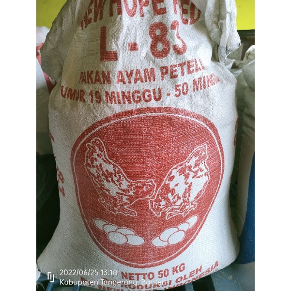 pakan ayam petelur