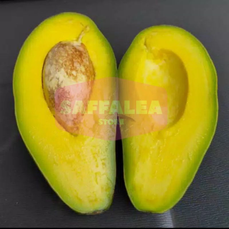 

1KG ALPUKAT MENTEGA LAMPUNG TIMUR / BUAH ALPUKAT