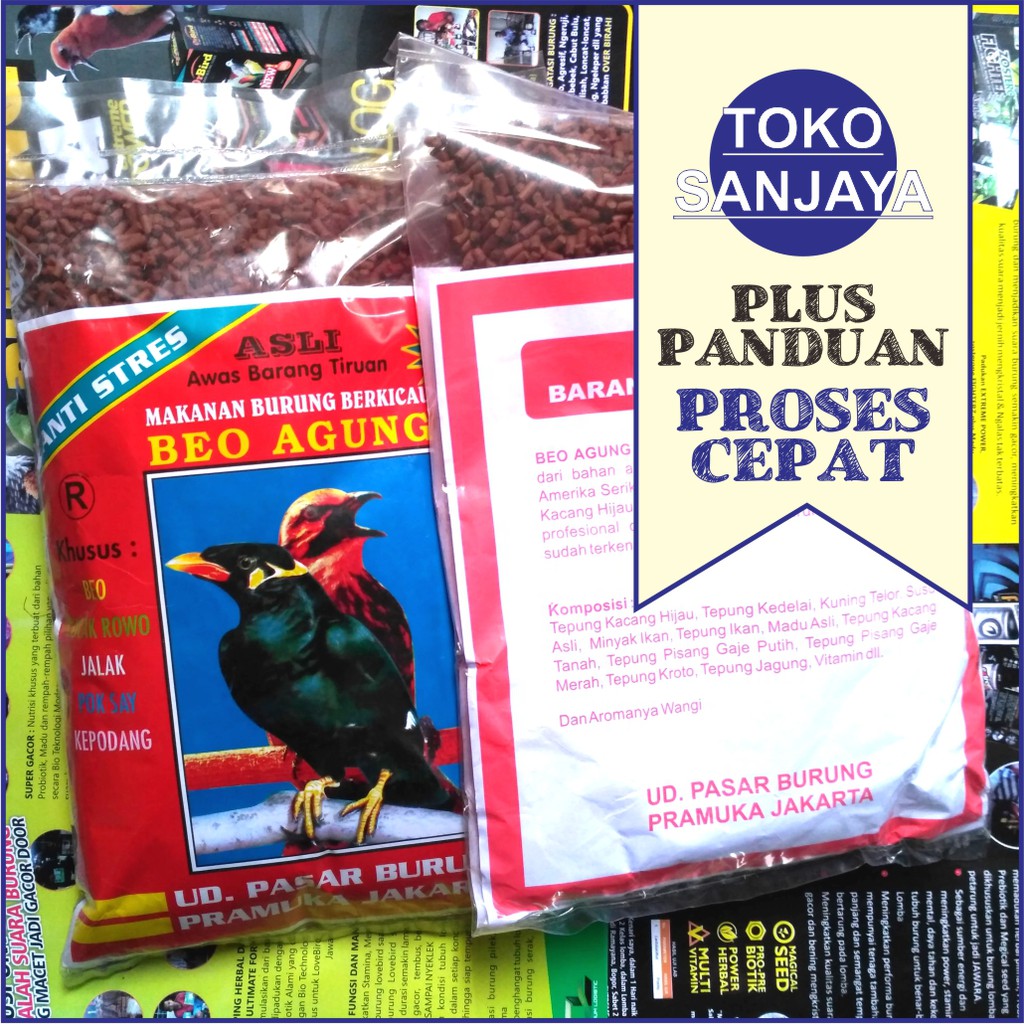 Beo Agung Jumbo Pakan Burung Beo Jalak Shopee Indonesia