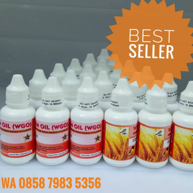 Agar Lovebird Cepat Bertelur