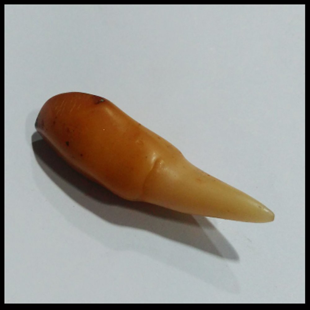 PRODUK ANTIK LAWASAN - KUKU DAN TARING MACAN