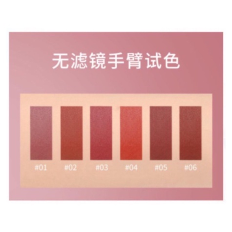 LAMEILA Lip Glaze matte lipstick anti air lipstick velpet lip gloss 1041