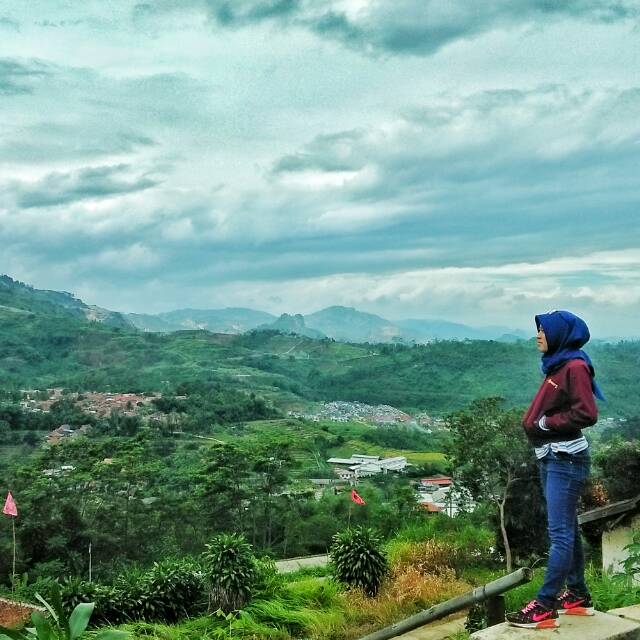yorry_yaska