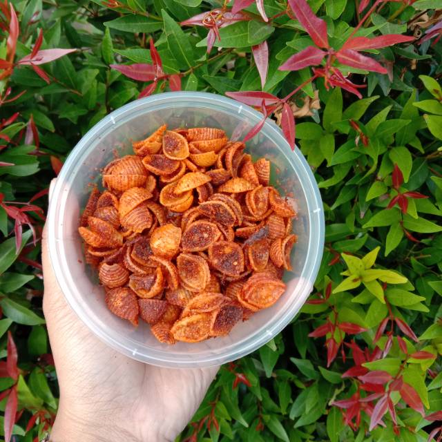 

Kerang jontor ter bestseller!!!!