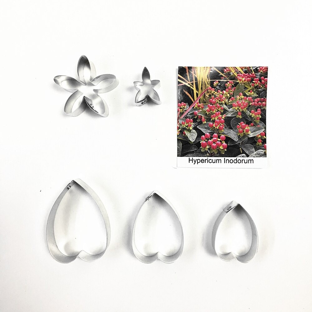 Hypericum lnodorum Petal and leaf Set Cutters,clay flower ,Sugarcraft cutters,flower cutter, Wire