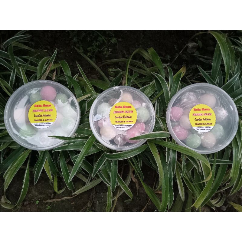 

BOLA SUSU SIMANIS KINAR ALYA BOLSUS