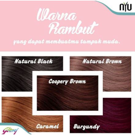 Cat Rambut NYU Creme Hair Color