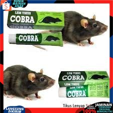 Lem Tikus / Jebakan Tikus / Cobra / Lem Tikus Cobra Super Lengket Ampuh &amp; Berkualitas  Best Seller