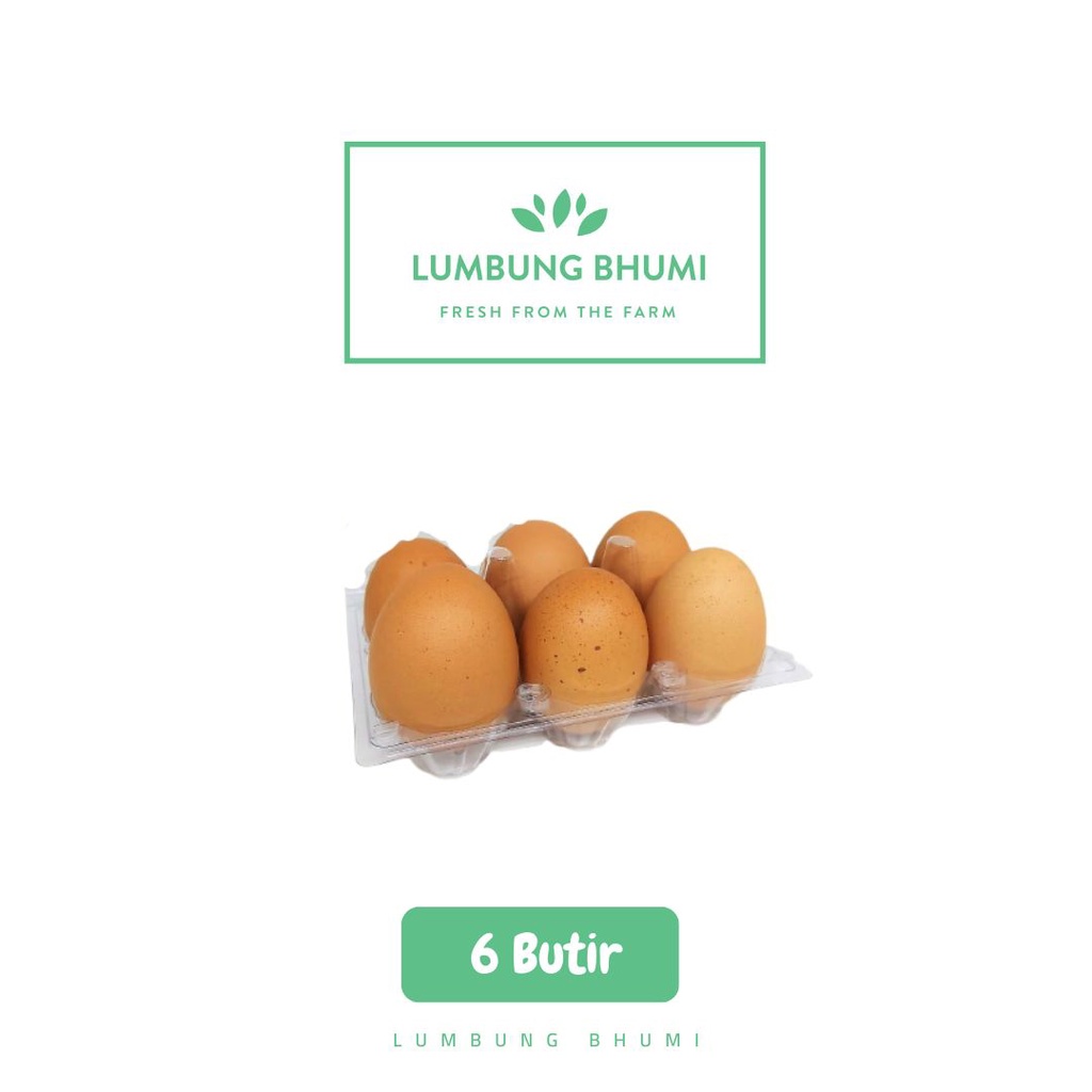

Lumbung Bhumi - Telur Ayam Negeri 6 Butir ( Bahan Pokok )