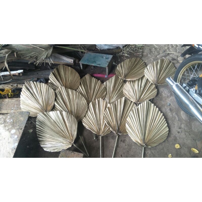 daun palem kering dekorasi silver dan gold