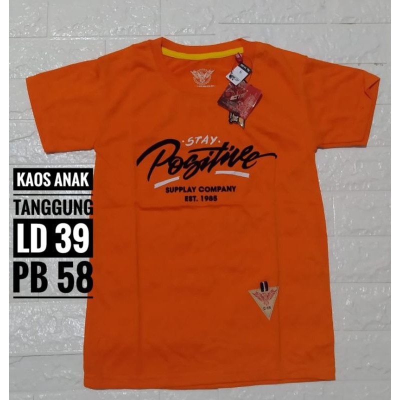 Kaos dewasa/anak tanggung 60.000 dapet 3