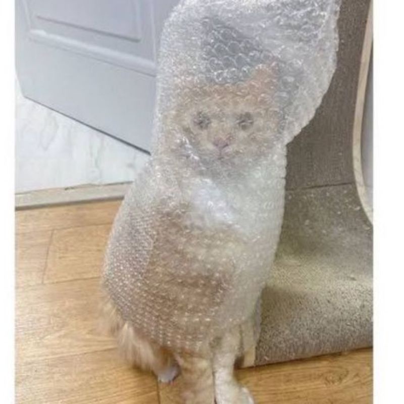 

packing aman dengan bubble wrap+kardus