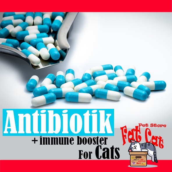 Obat Antibiotik Kucing - Obat demam infeksi kucing vitamin kucing