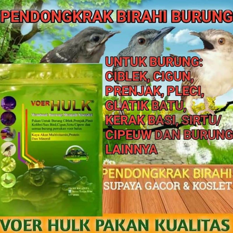 Jual Voer Hulk untuk Burung burung kecil | Shopee Indonesia