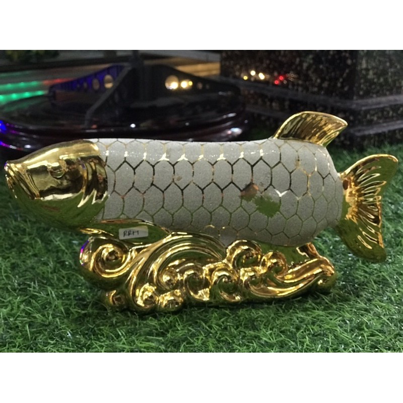 ikan arwana gold