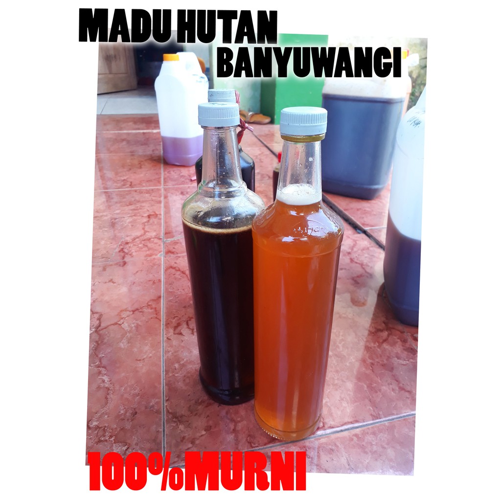 

MADU HUTAN ASLI 100% "BANYUWANGI