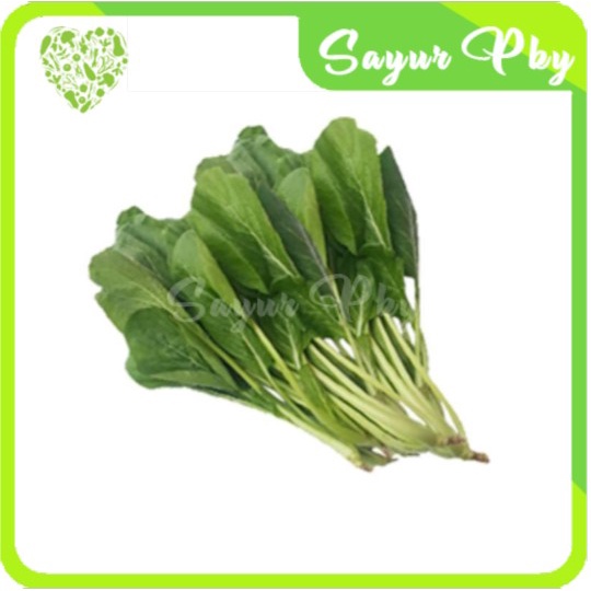 

Caisim / Sawi Hijau 250 gr