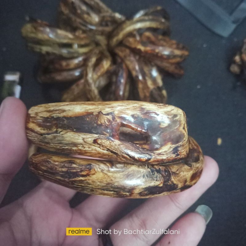Gelang Akar Bahar Brahma Asli 100%