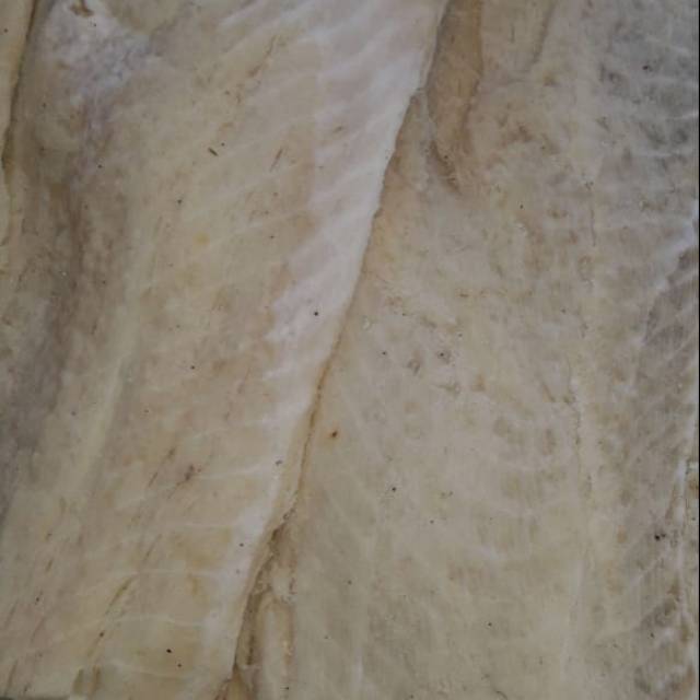 

Ikan jambal roti 1 kg