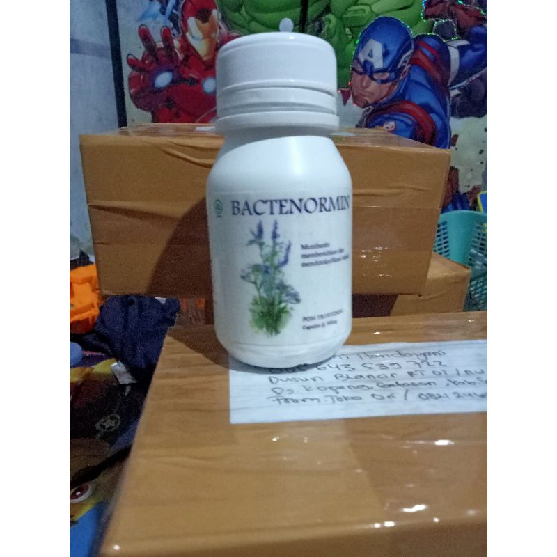 Bactenormin Obat Parasit Herbal Original BPOM TR193329261