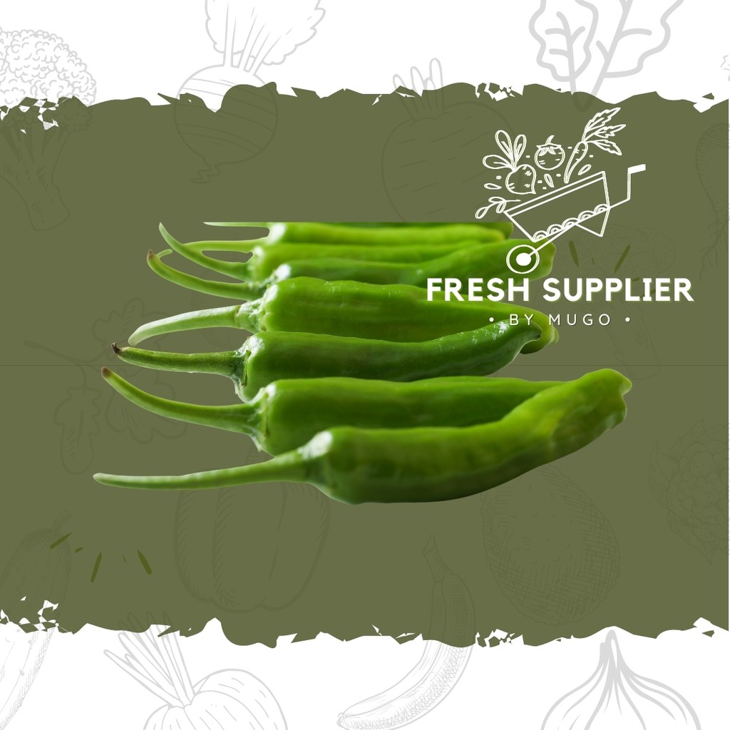 

Cabai Hijau Besar 250g Fresh Supplier