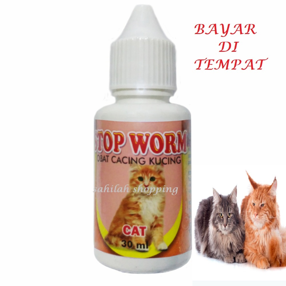 OBAT CACING KUCING CACINGAN AMPUH STOP WORM