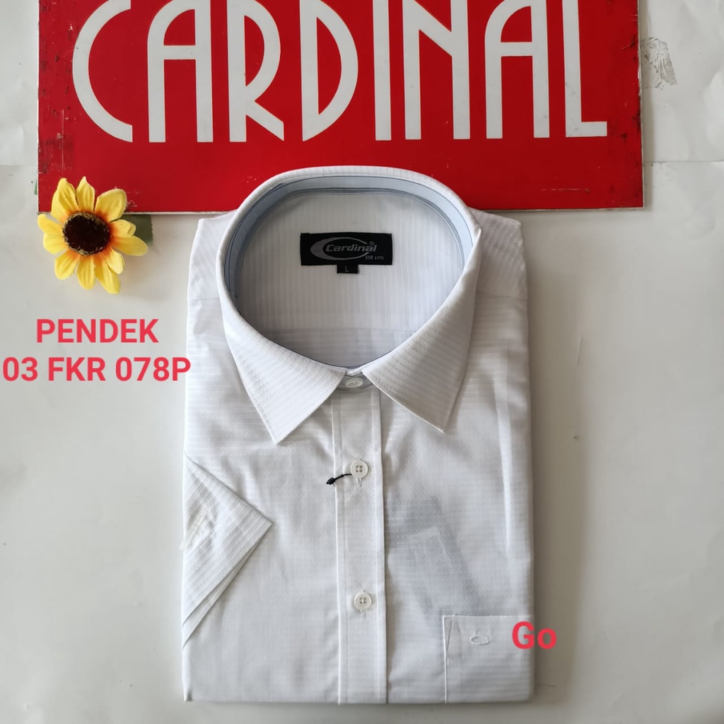 gof XL CARDINAL KEMEJA FORMAL PENDEK Polos Regular Pakaian Kemeja Kerja Pria Kantor Acara Resmi Pakaian Wisuda Original KPFB