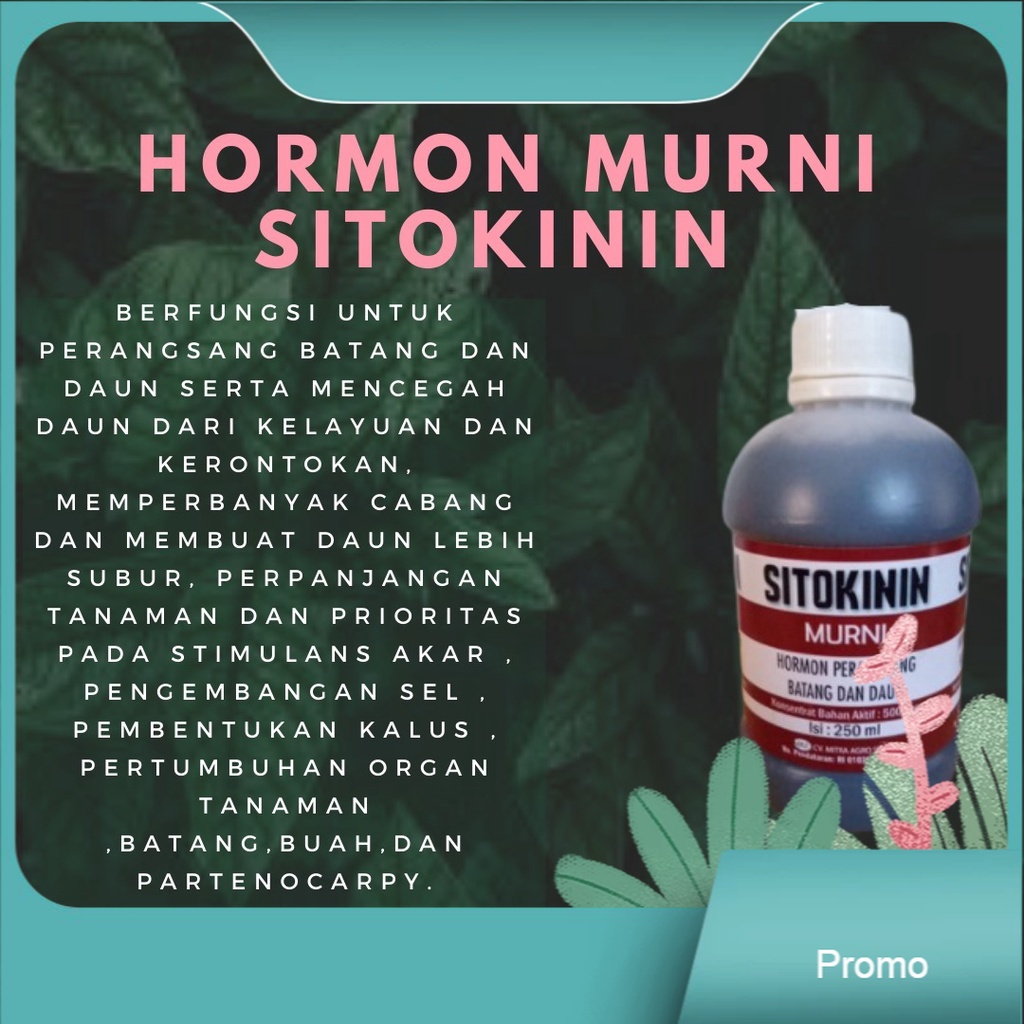 ZPT Pupuk Cair Hormon zpt Murni Sitokinin Perangsang Daun dan Batang Original 250 ml  sitokinin lore