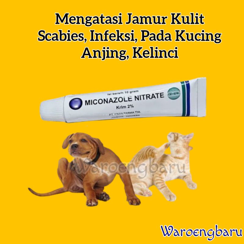 Miconazole krim 2% Salep Jamur Pada Kucing Anjing Kelinci