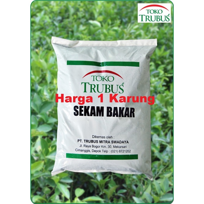 Sekam Bakar TRUBUS Media Tanam Arang Sekam Padi Siap Pakai Organik