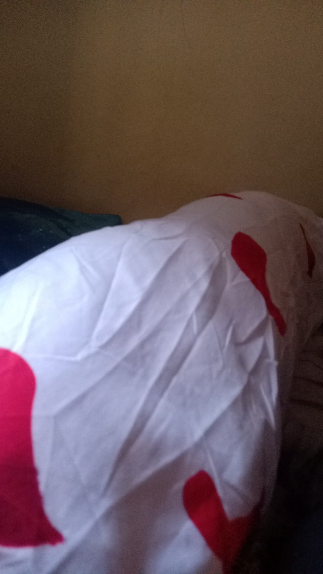 Sarung Bantal Guling Tidur Set Kintakun Deluxe Dluxe Minimalis Grosir Murah