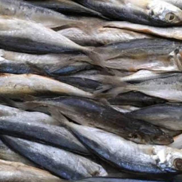 

Ikan peda kering