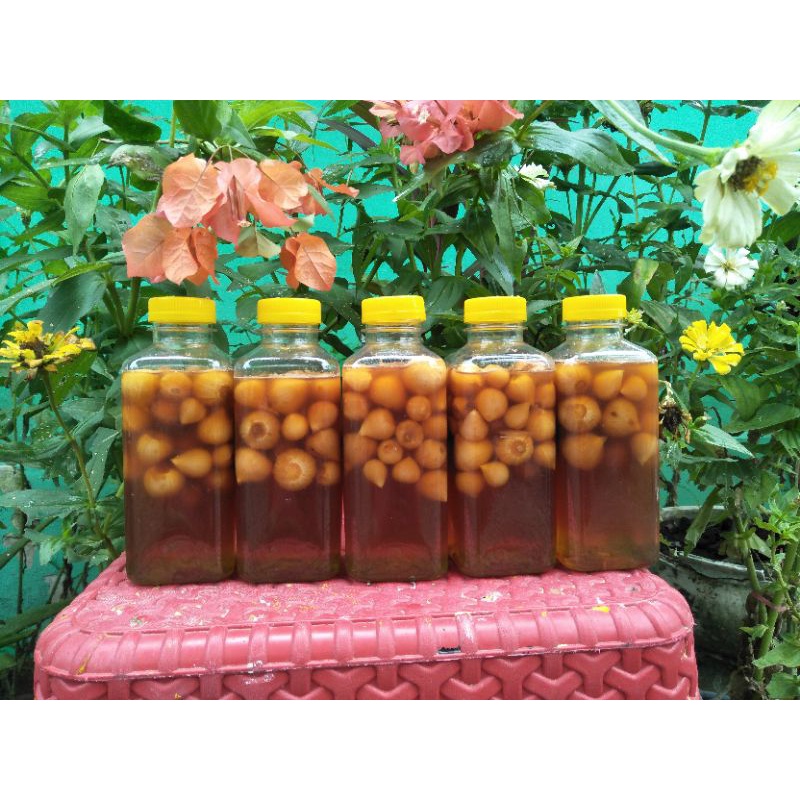 

madu bawang Lanang(tunggal)