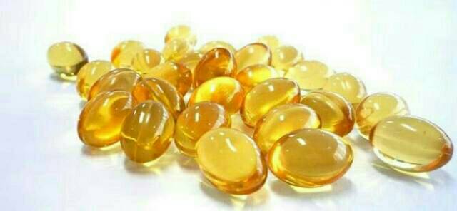 Minyak ikan fish liver oil vitamin anjing kucing hamster kelinci musang