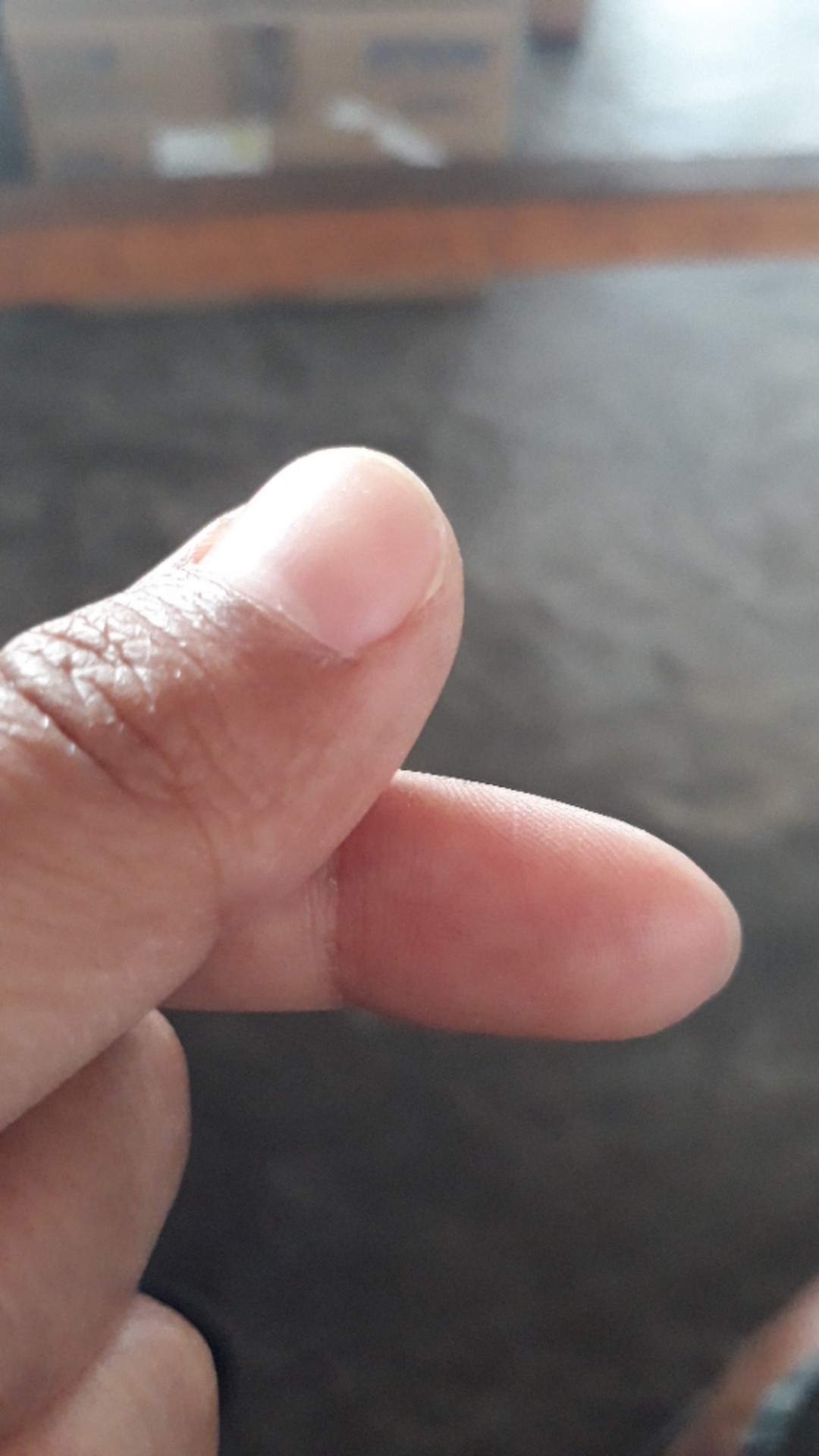 Box Mug/box Gelas Polos 12x8,5x11cm