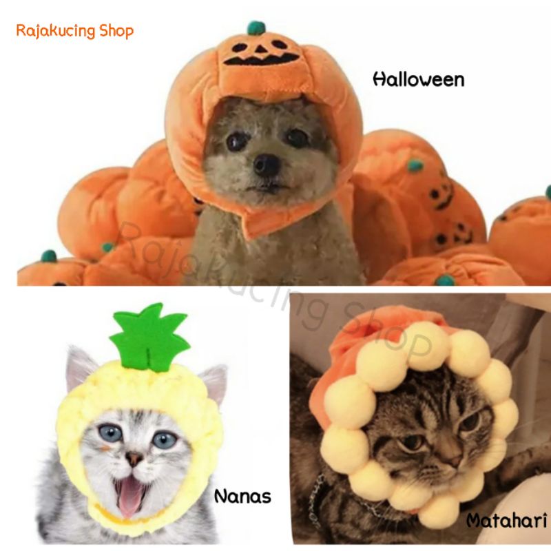 Topi kucing anjing bentuk nanas, pumpkin halloween, matahari