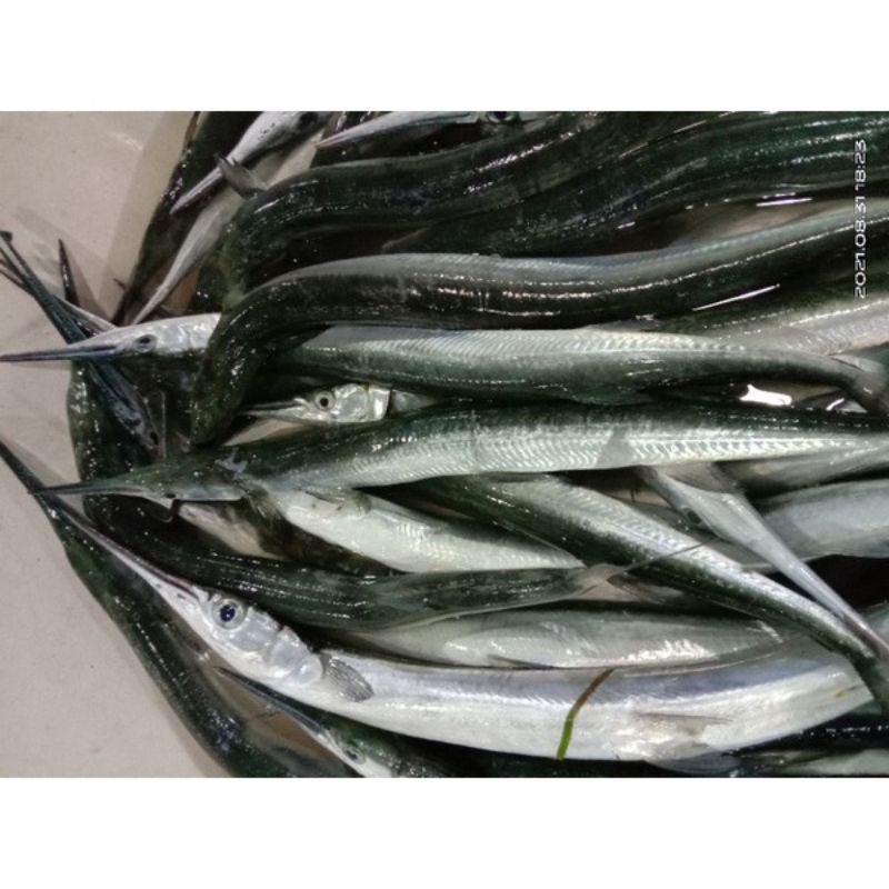

Ikan Cendro Fresh 1kg
