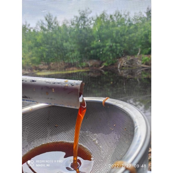 

Madu nektar akasia Riau Netto:1000gr