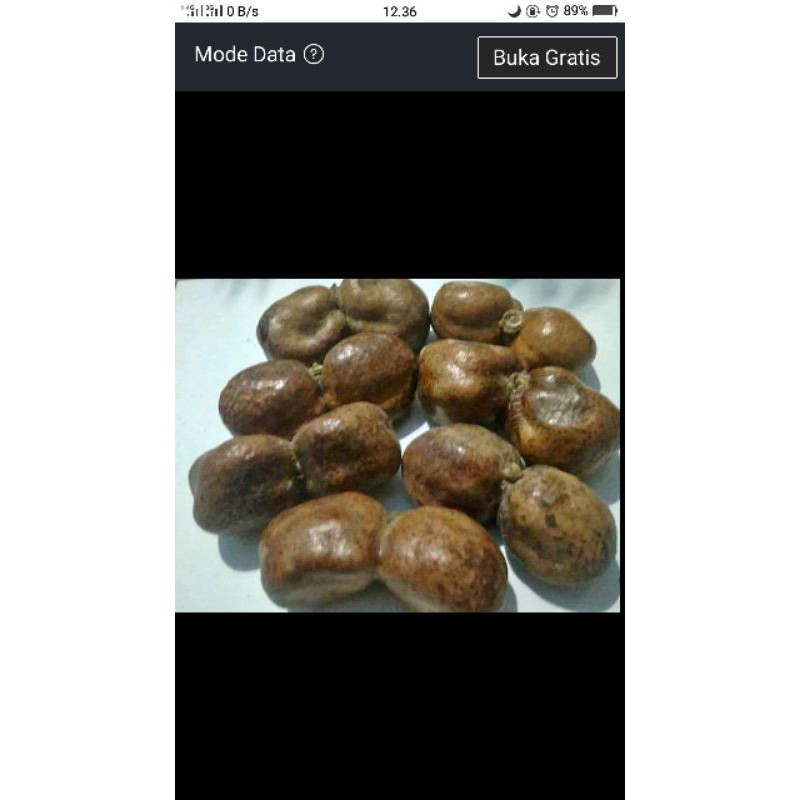 

Buah Zuriat/Zuriat kembar ready