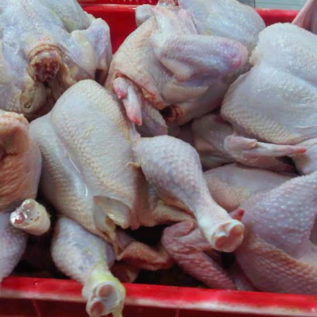 

AYAM BROILER 1KG PREMIUM TERMURAH