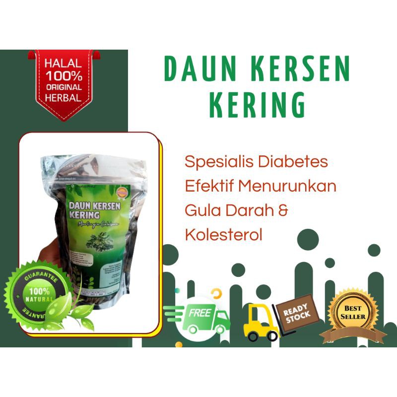

Daun Kersen Kering untuk diabetes