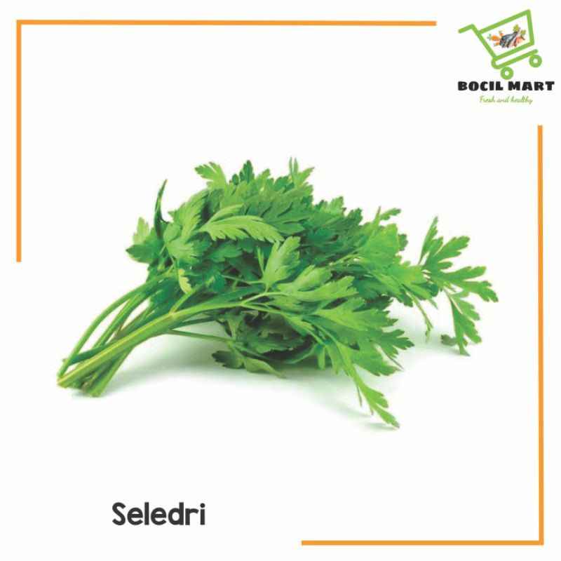 

[BOCIL MART] SELEDRI 1 IKAT