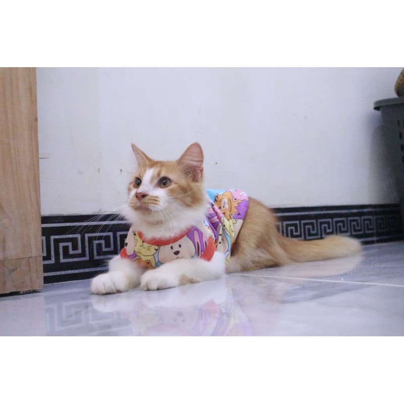 Baju kucing rumahan tsum tsum lucu / baju kucing dan anjing murah size S M L XL