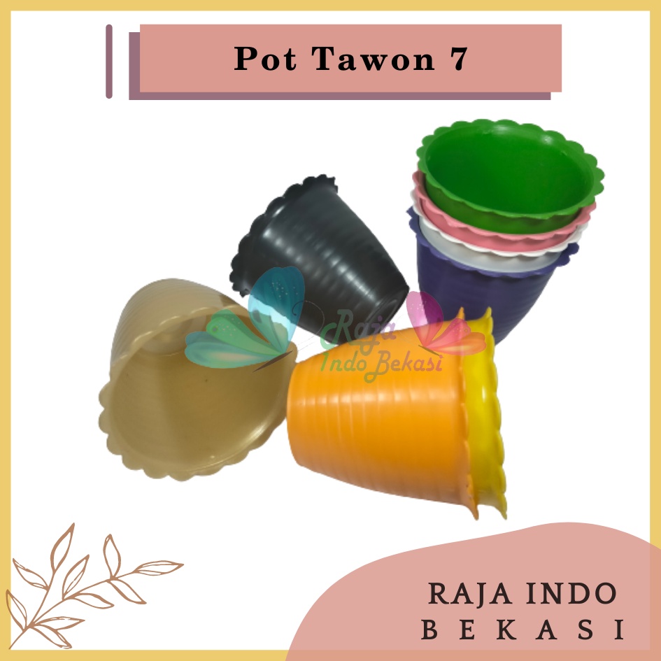 Pot Tawon 7 Warna-Warni 7.5 Cm By Garden Of Love Pot Bunga Plastik Mini Lucu Vas Bunga Kaktus Kecil