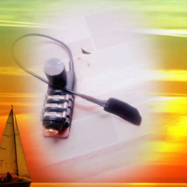 Pick up cello dan contrabass one head