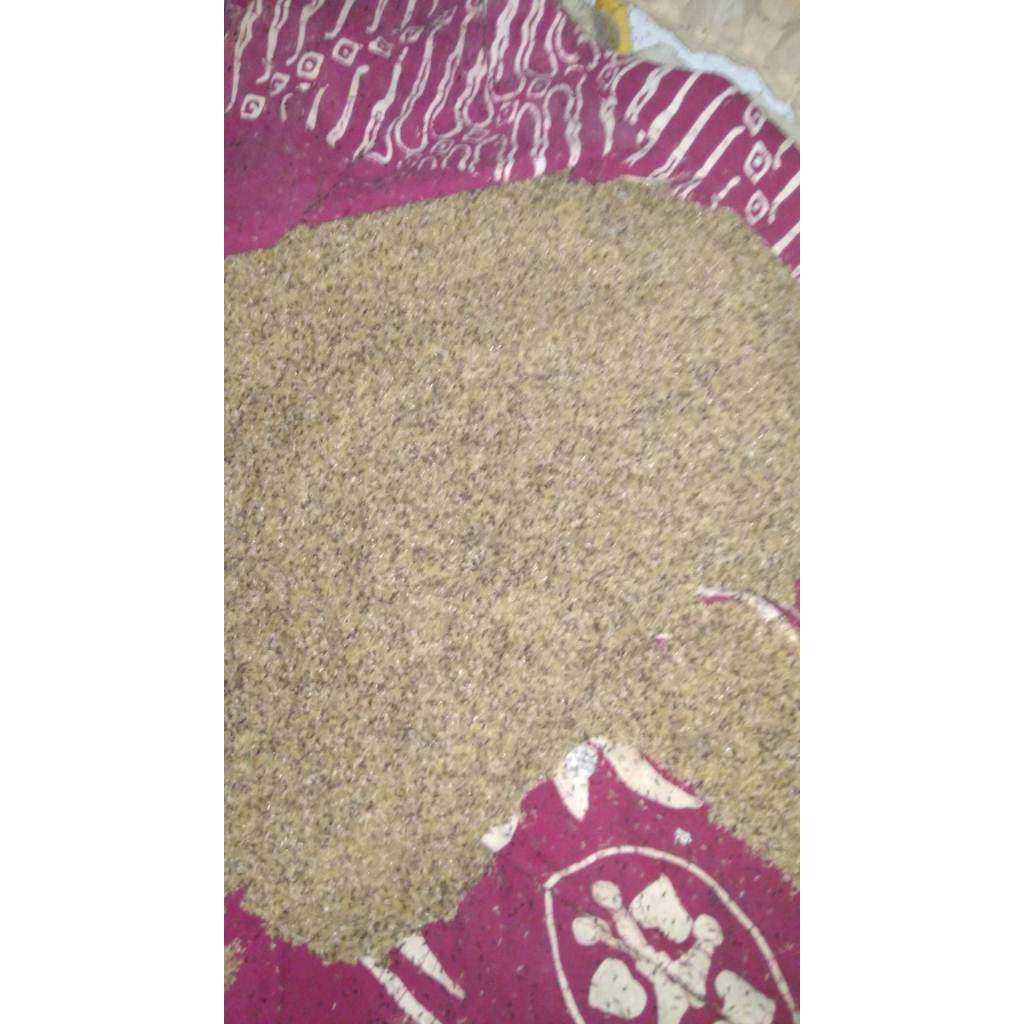 Telur Jangkrik Alam Untuk Ternak Jangkrik 1 ons