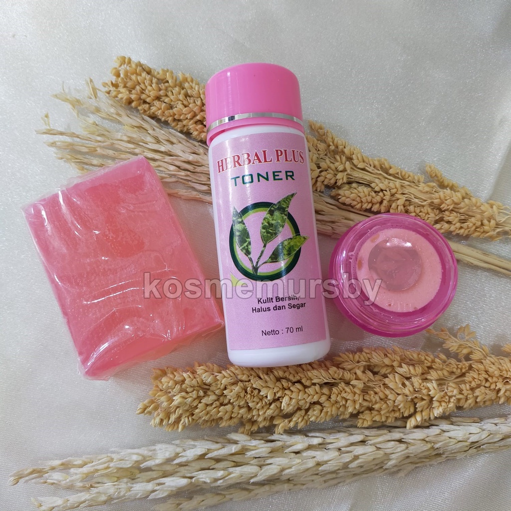 PAKET LENGKAP HERBAL PLUS ( CREAM TONER Dan SABUN)