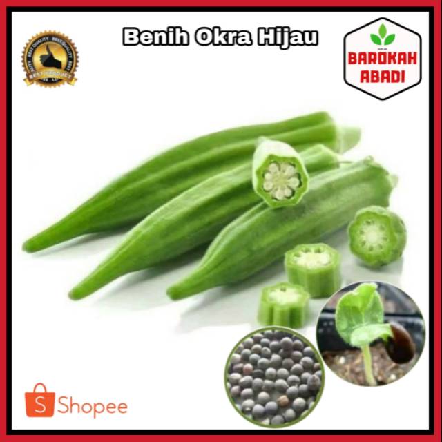 Biji Benih Tanaman Okra Hijau /10 biji