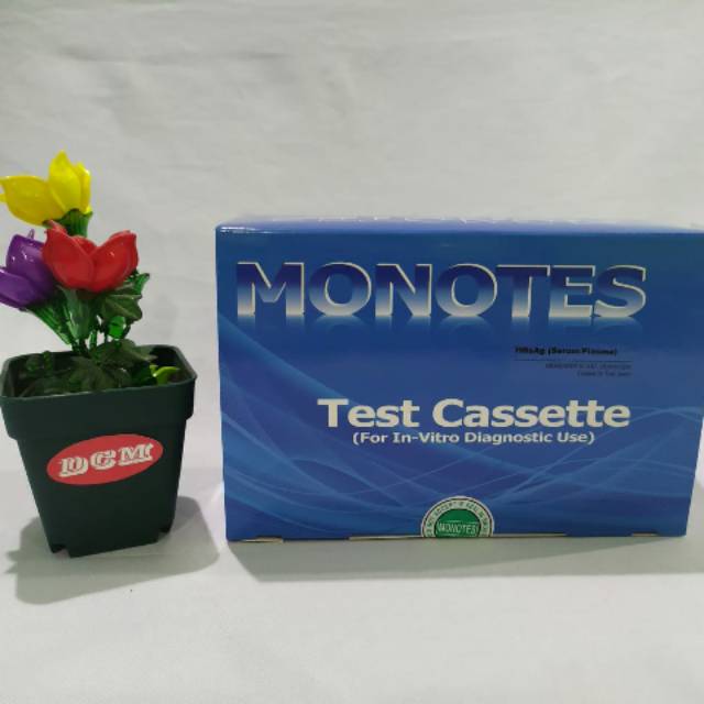 Rapid Test HBsAg Cassette / HBsAg Rapid Test Cassette / HBsAg WB Device 25 Test/Box AKL Kemenkes RI